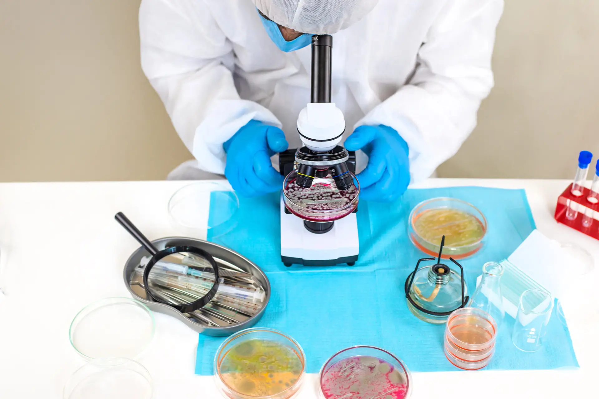 Microbiological analyses in laboratory