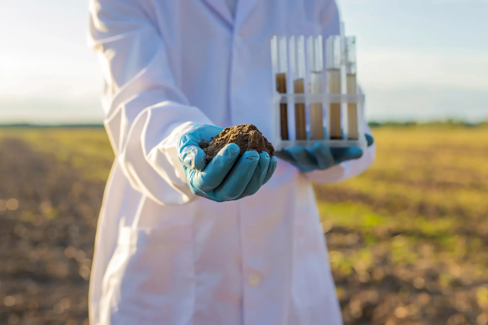 Soil fertilizers and compost laboratory analysis