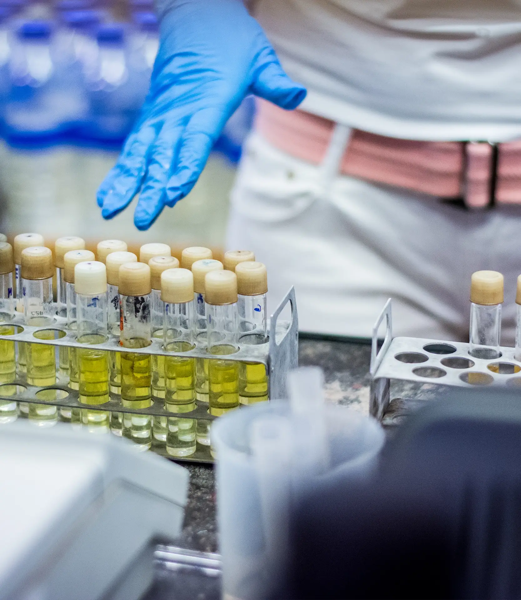 Accredited water and soil testing LITOLAB